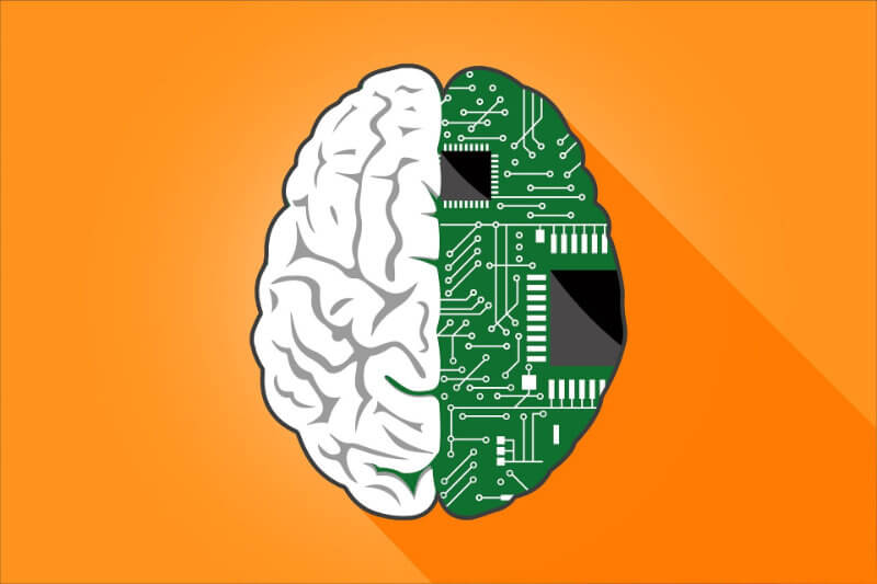 half-brain-half-circuit-board