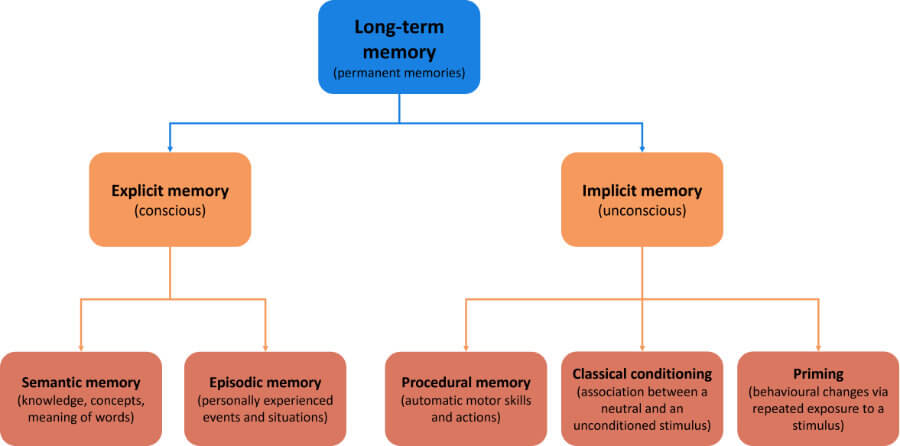 The organisation of long-term memory