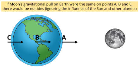 Earth tides would be inexistent if Moon's gravitational pull was equal everywhere on Earth