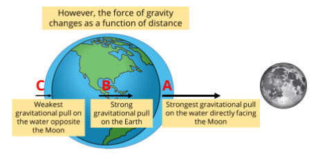 Moon's gravitational pull has different strength on different points on Earth