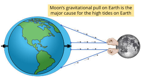 Tides arise due to Moon's gravitational pull on Earth's oceans