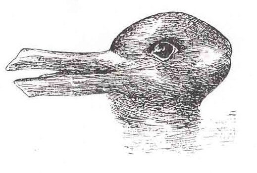 The Duck-Rabbit illusion