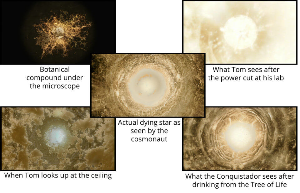 Different versions of the dying star