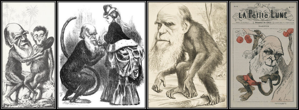 Caricatures of Darwin