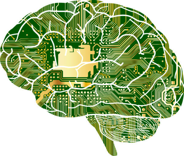 Brain as an electrical circuit