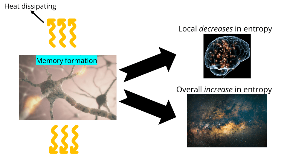 Memory formation and entropy