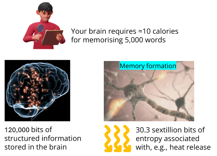 Memory formation and heat entropy